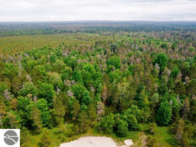 Property Photo:  00 Island Lake Road  MI 49646 