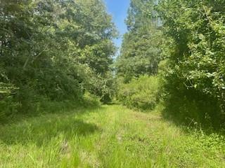 Property Photo:  0 Tba Big Lake Road  LA 71360 