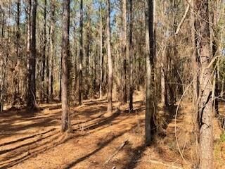 Property Photo:  Tract A Big Lake Road  LA 71360 