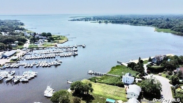 Property Photo:  139 Crystal Beach Boulevard  NY 11955 