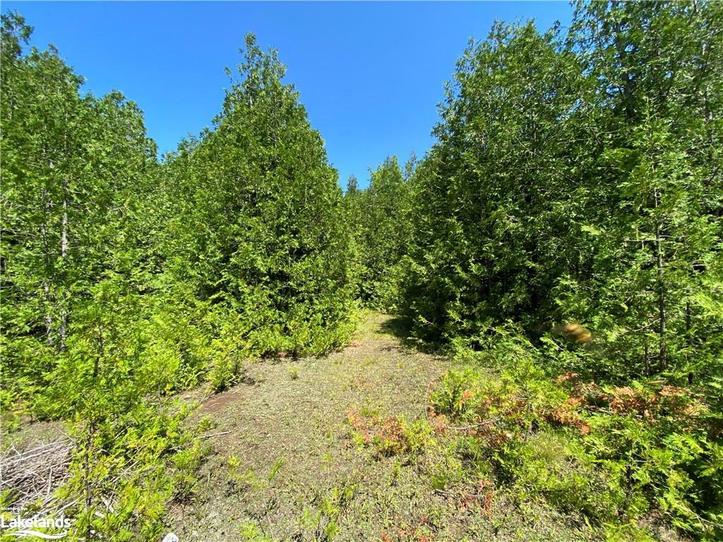 Property Photo:  Part Lot 9 Concession  14 Osprey The Blue Mountains Townline  ON N0H 2E0 