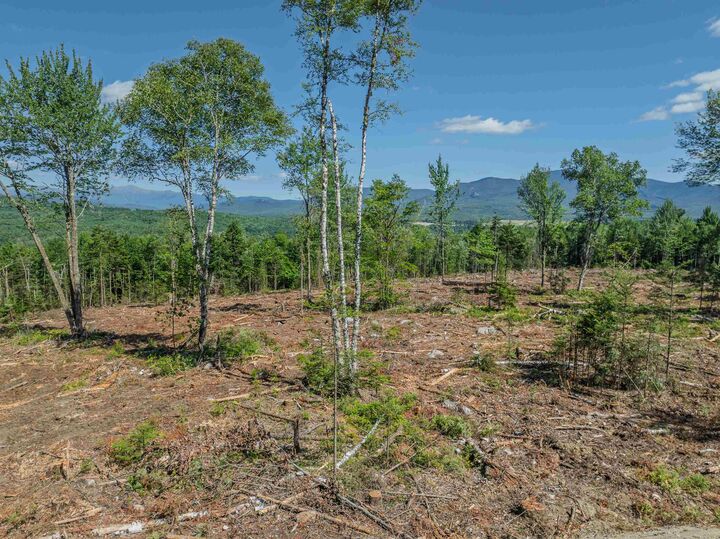 Property Photo:  00 Ridge Road  NH 03574 