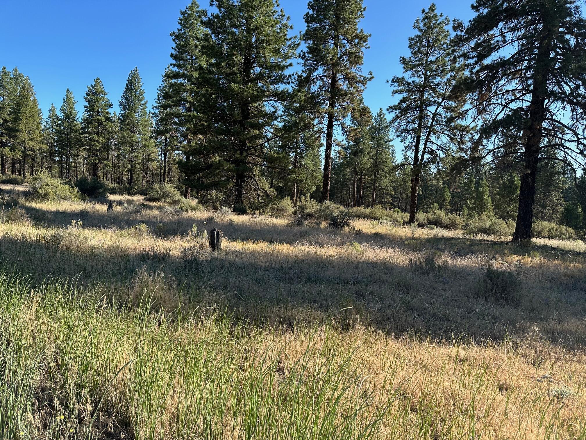 Property Photo: Lot 2900 Teal Drive OR 97623