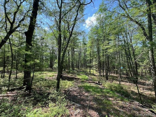 Property Photo:  Lot 18 Hunczak Boulevard  NY 12737 