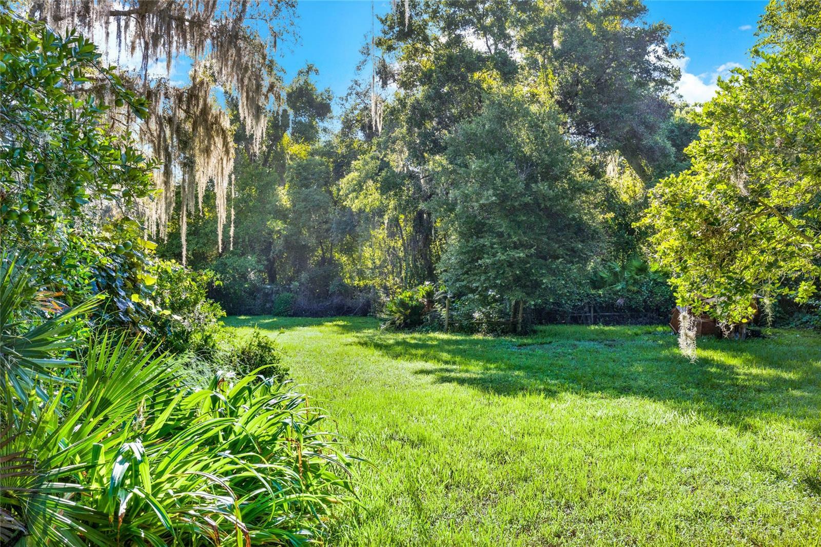 Property Photo:  SE 157th Street  FL 32784 