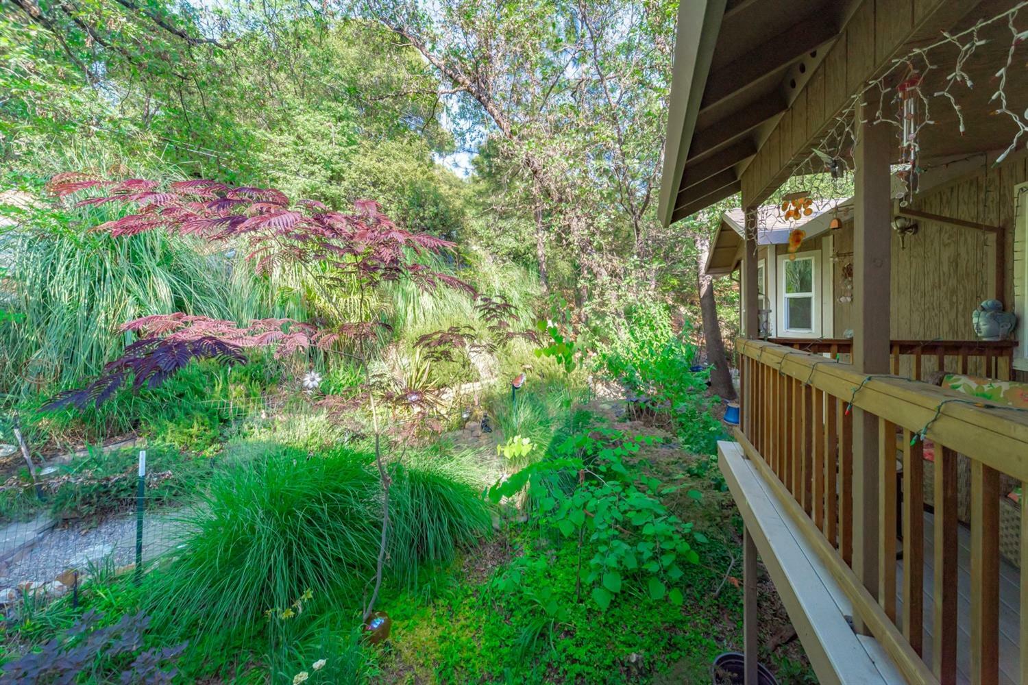 Property Photo:  16512 S Creekside Drive  CA 95370 