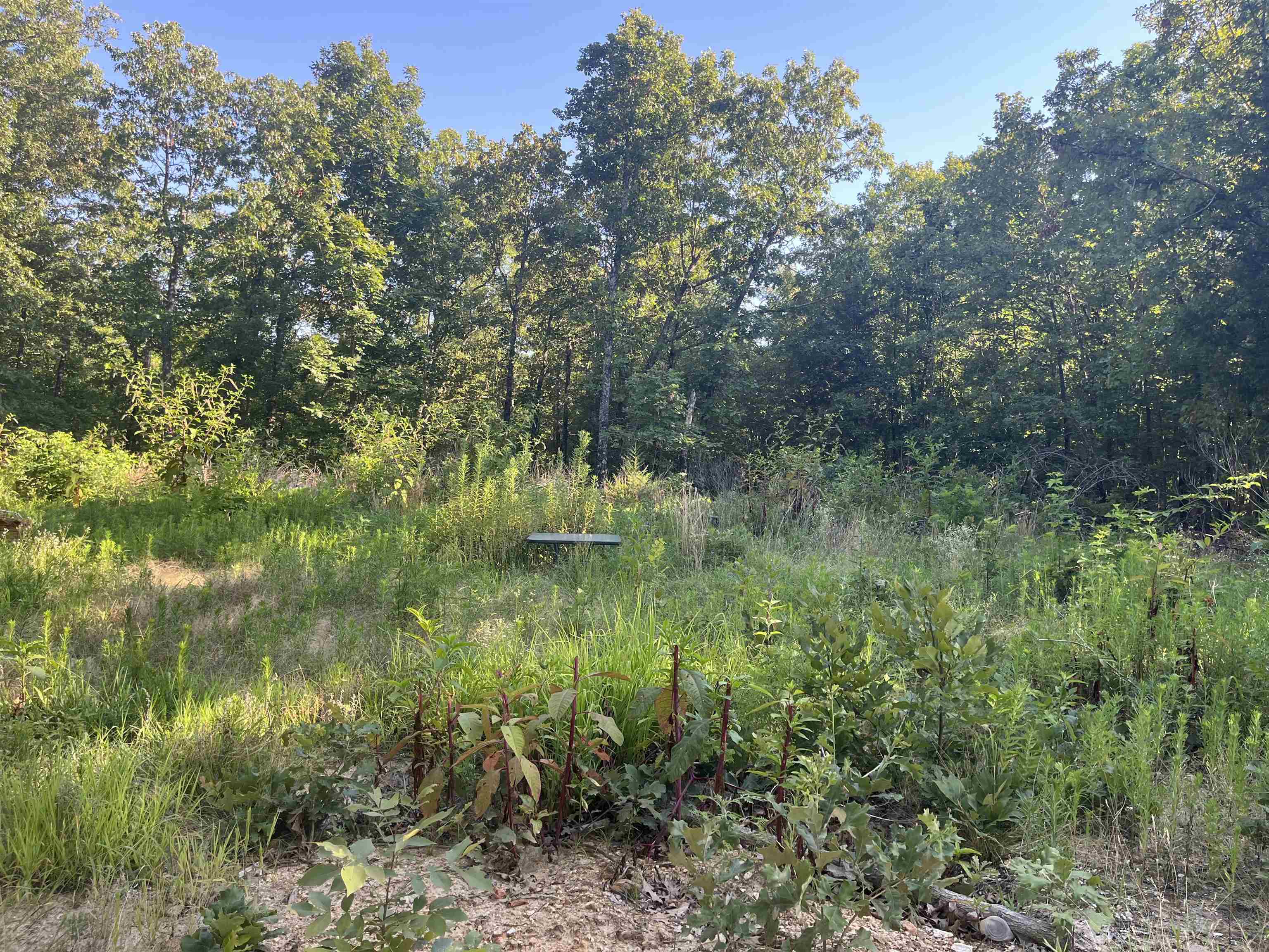 Property Photo:  1051 McFadden Road  AR 72542 