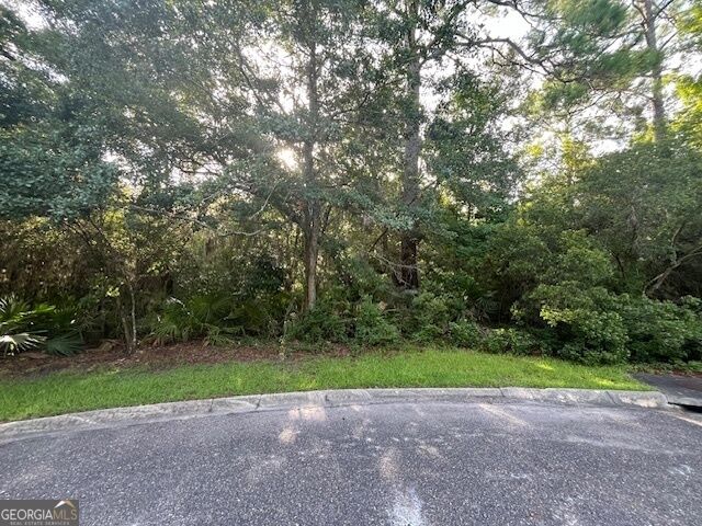 Property Photo: V/L 427 Overhand Court GA 31558