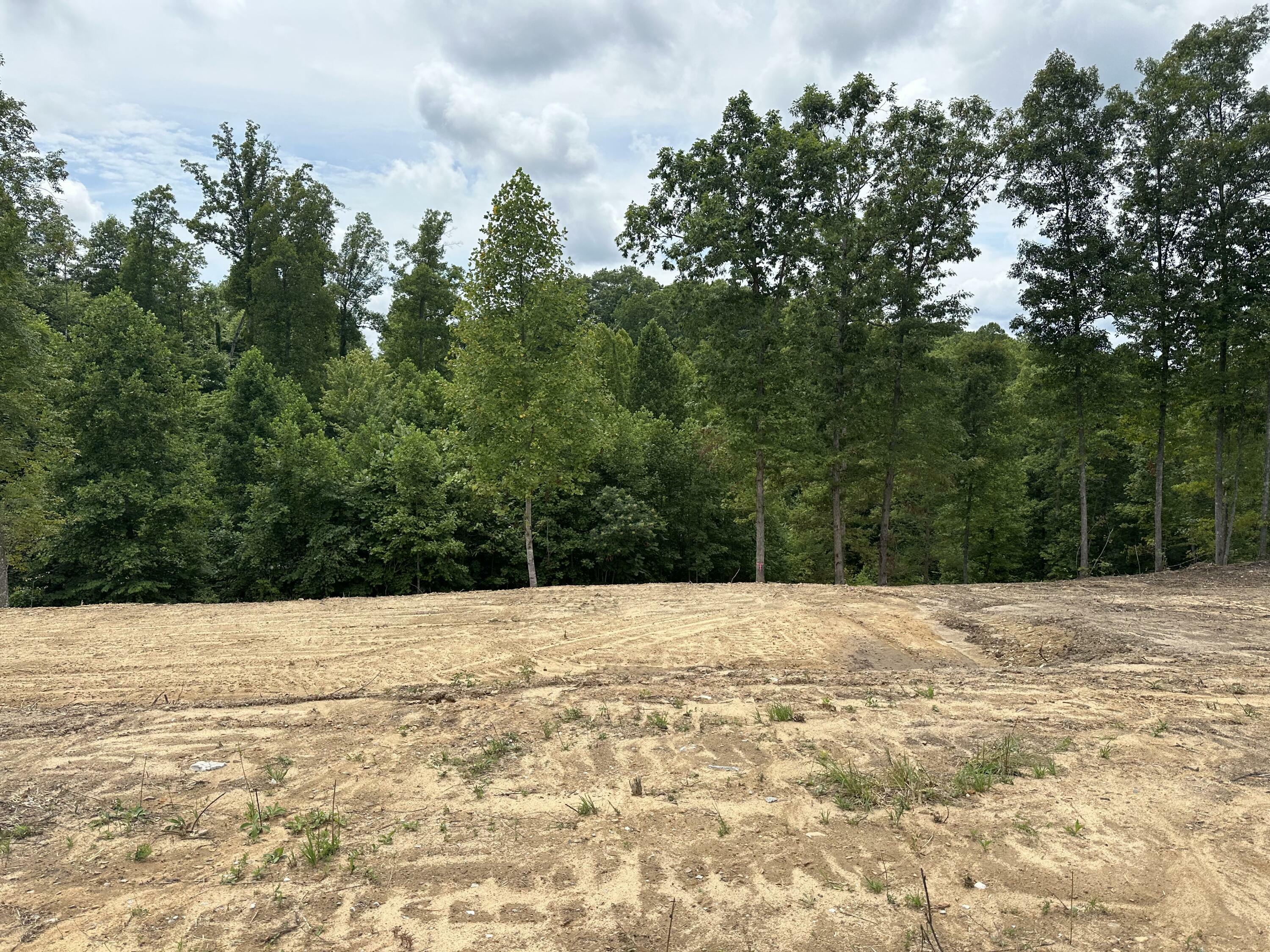 Property Photo:  Lot D Stella Lane  KY 40729 