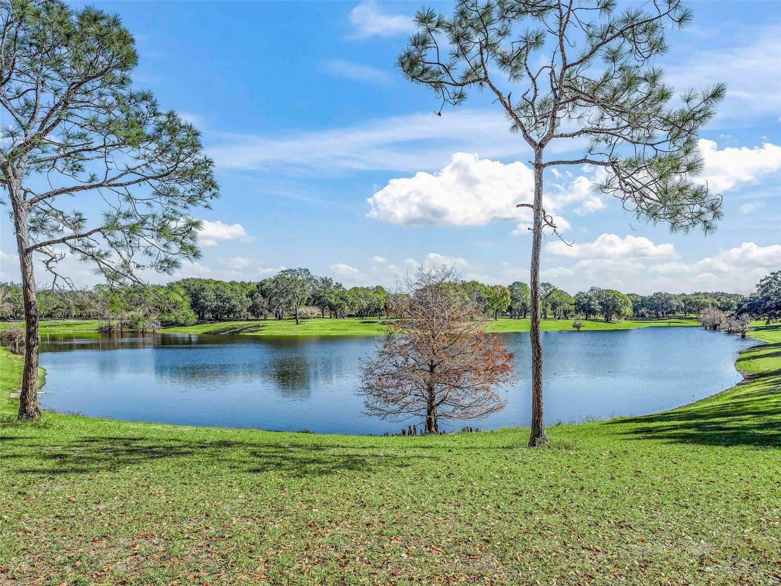 Property Photo: 1249 Granada Court FL 32159