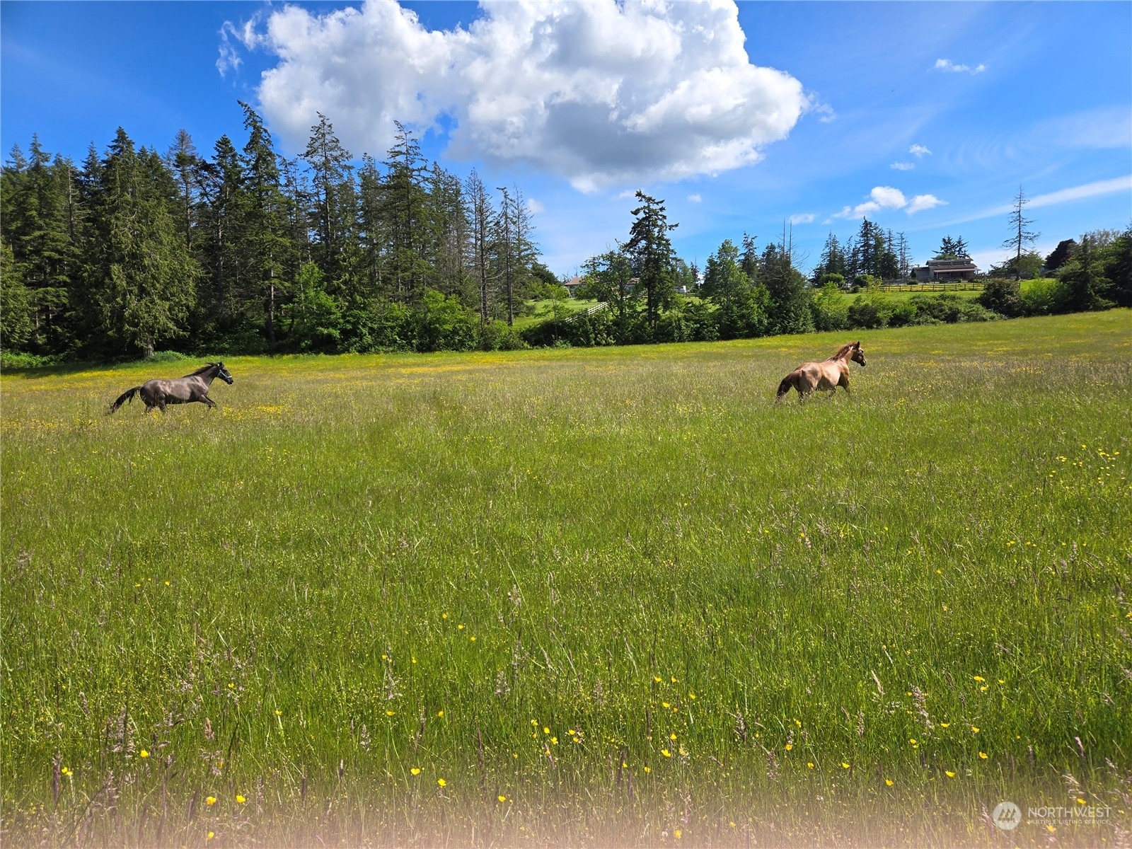 Property Photo:  1 Nhn North Camano Drive  WA 98282 