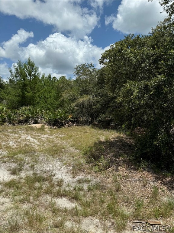 Property Photo:  12037 W Flaxen Drive  FL 34428 