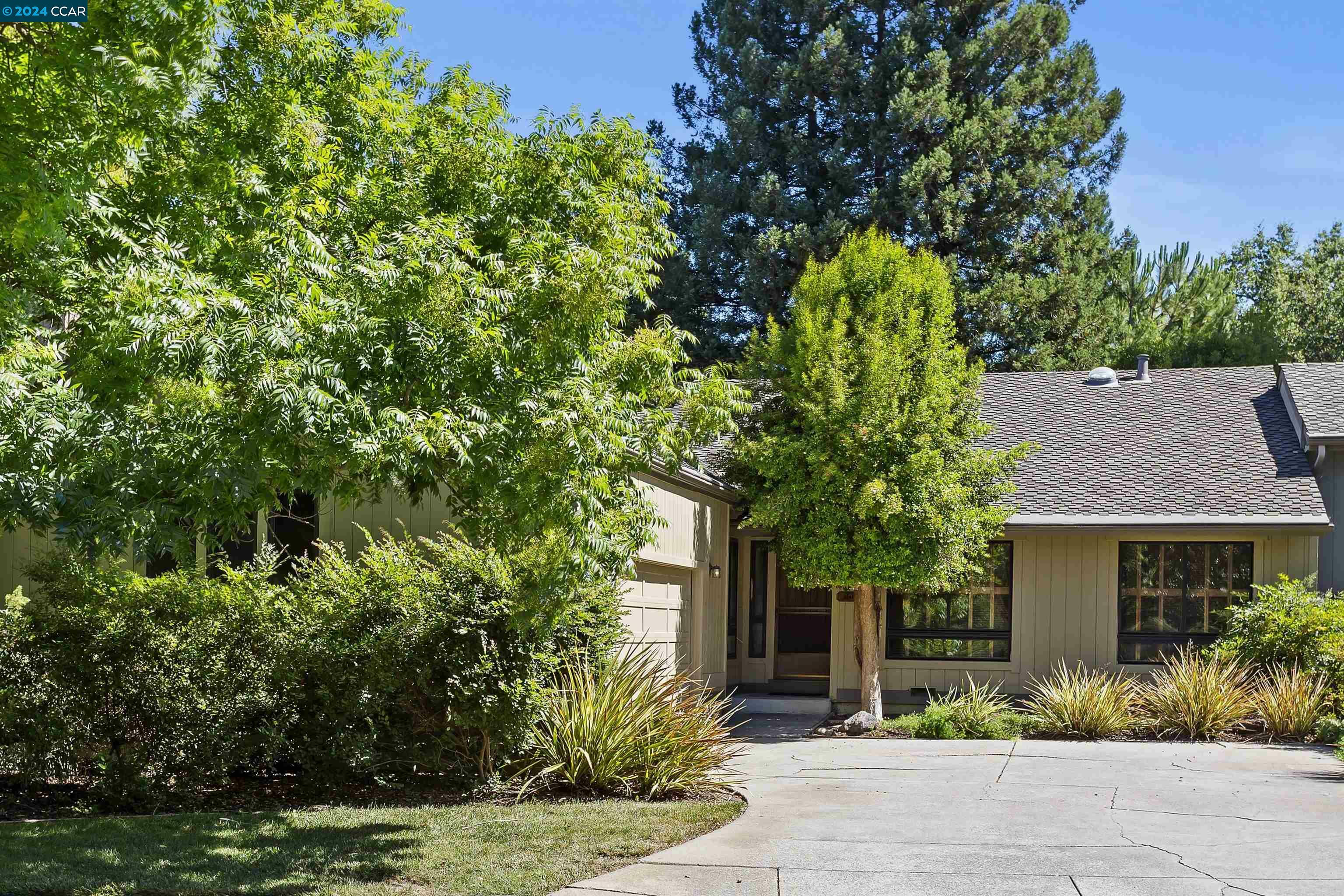 3113 Lippizaner Ln  Walnut Creek CA 94598 photo