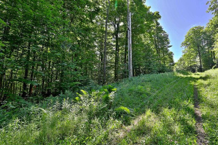 Property Photo: 430 Lower Rebecca Lane VT 05751