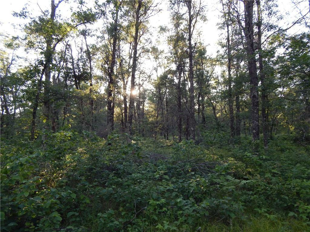 Property Photo:  Xxx Namekagon Trail  WI 54830 