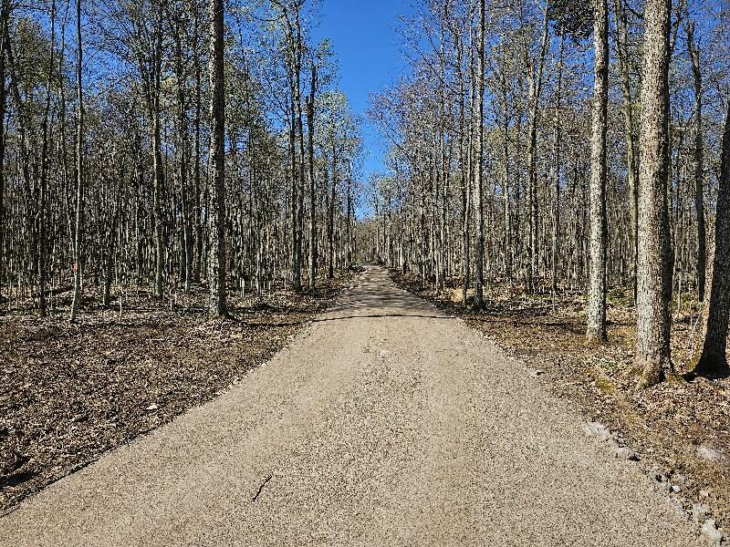 Property Photo: 9907 Sh 3 NY 12973