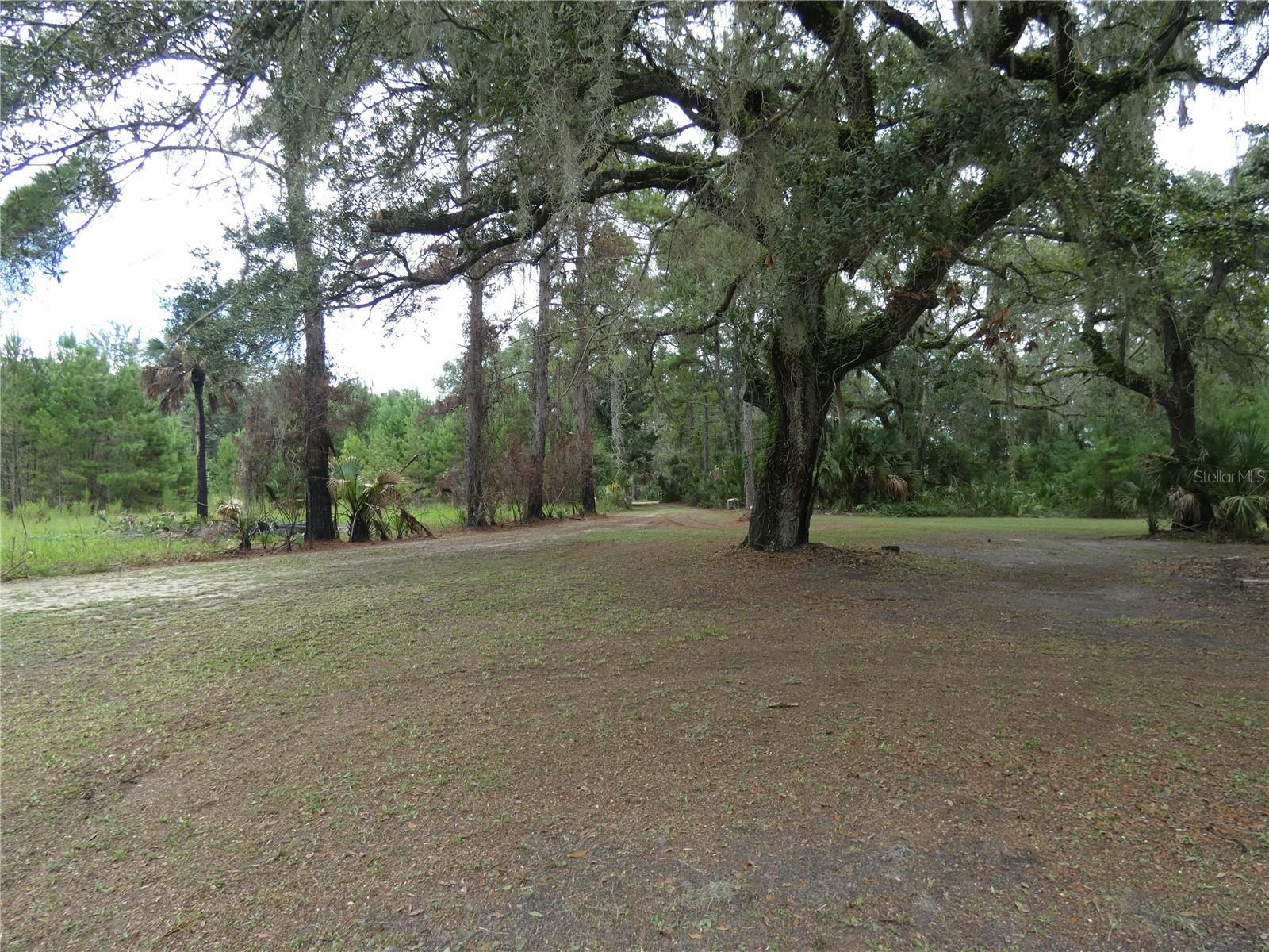 Property Photo:  18 SE 144th Avenue  FL 32680 