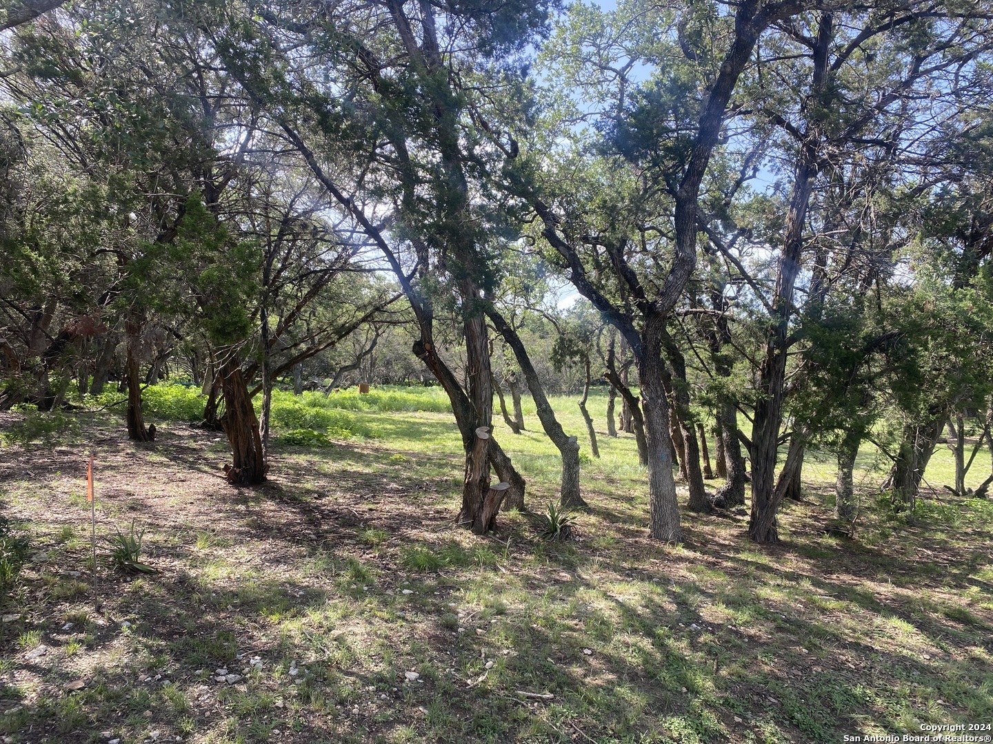 Property Photo:  912 Misty Water Ln  TX 78260 