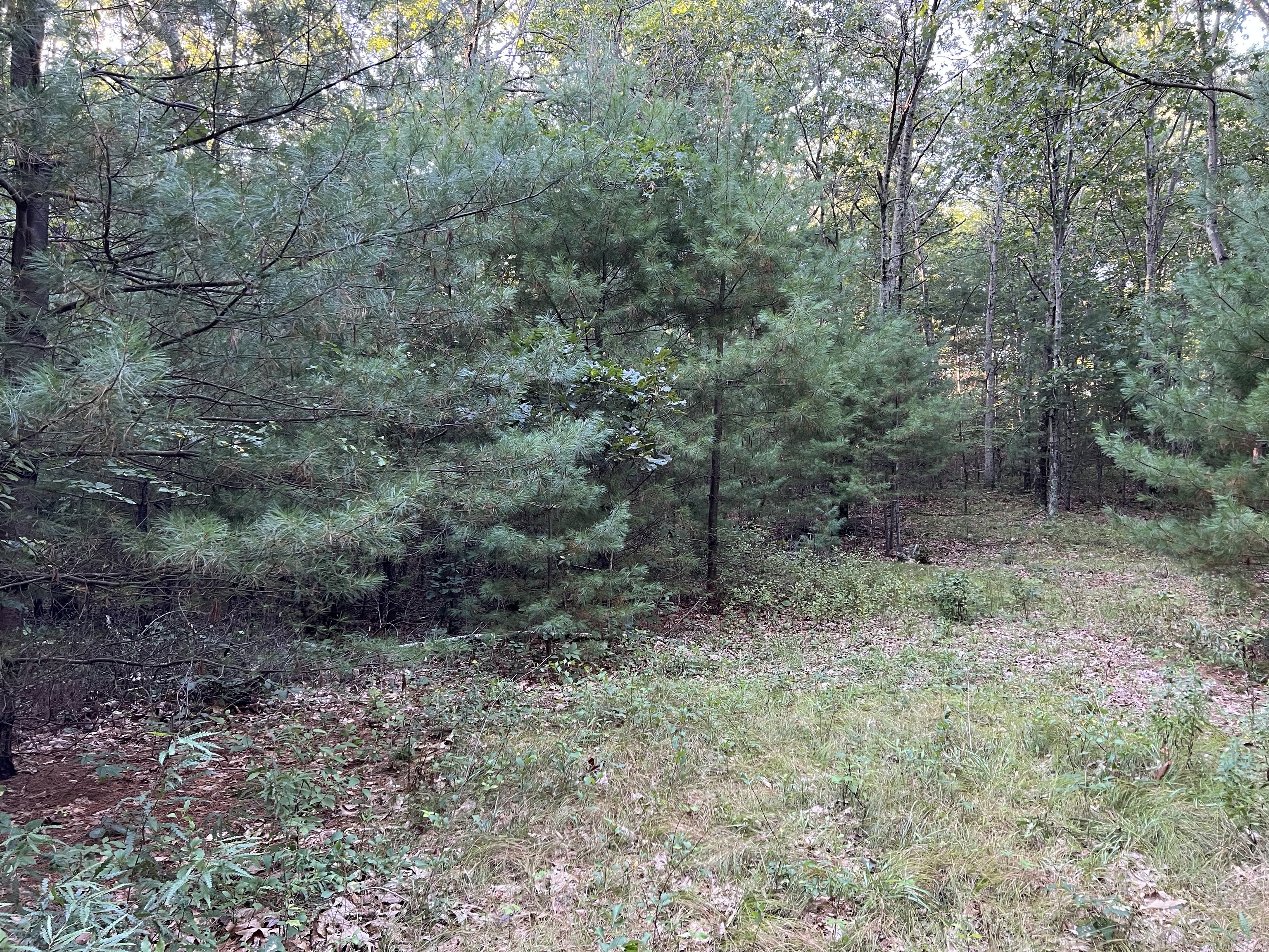 Property Photo:  14 Eldredge Mills Road  CT 06279 