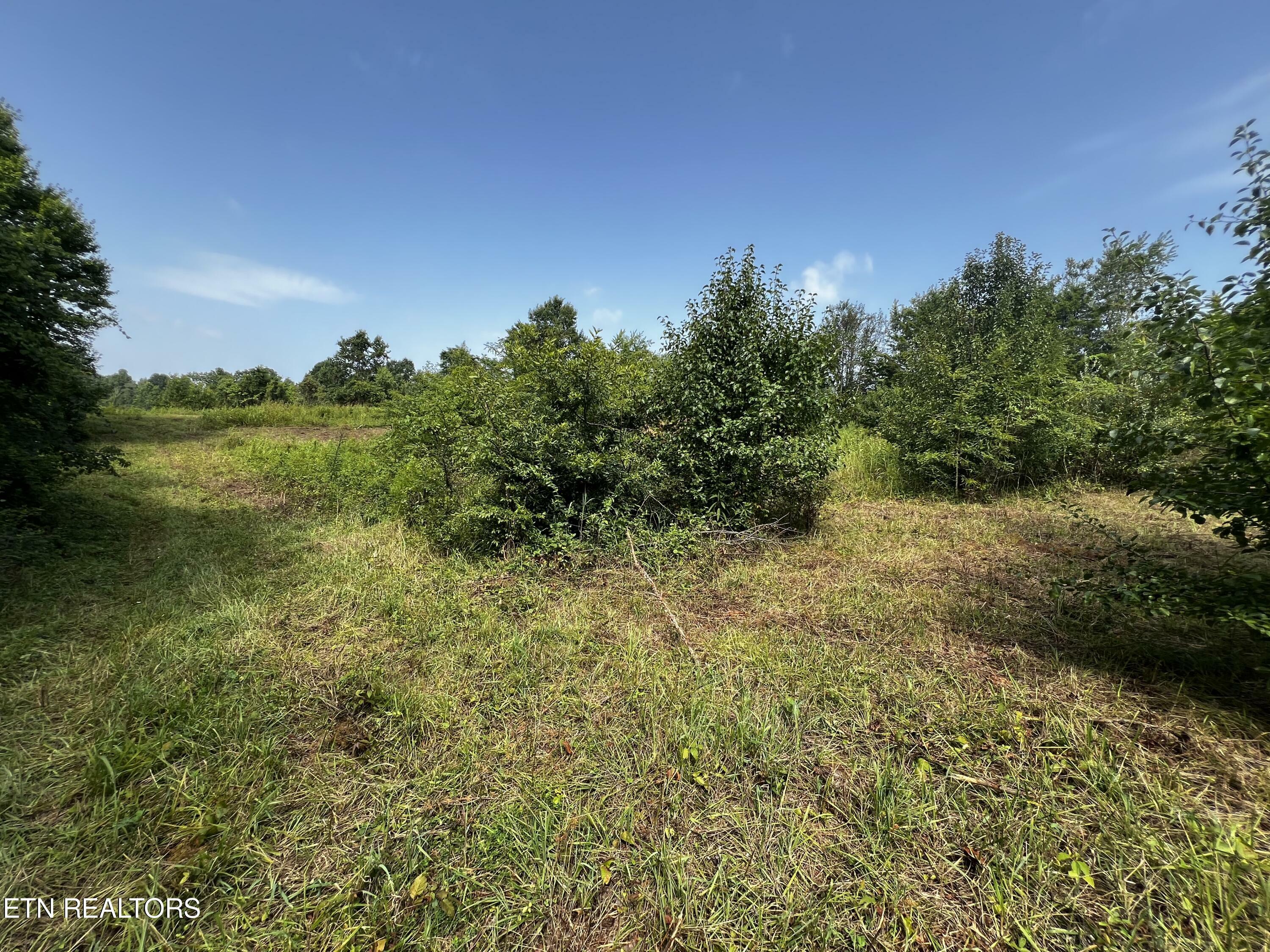 Property Photo:  150 Copenhaver Rd  TN 37771 