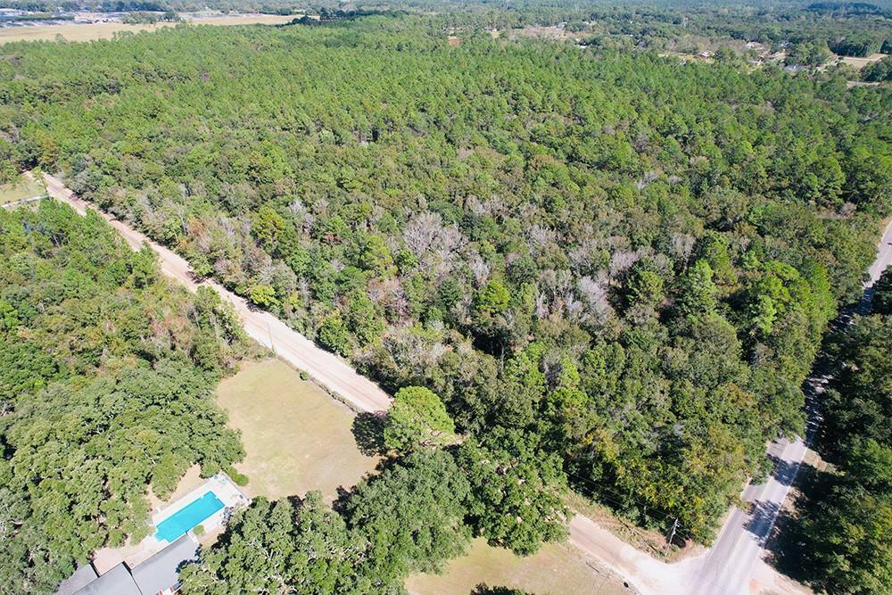 Property Photo: 0 Two Mile Road AL 36544