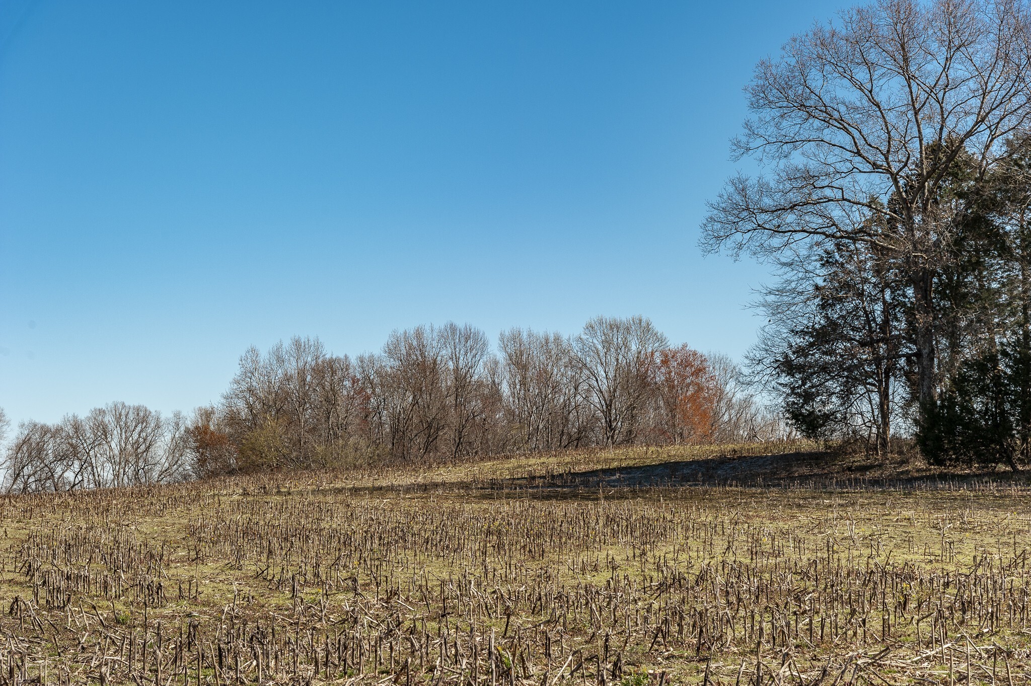 Property Photo: 0 52 Highway E Lots TN 37148