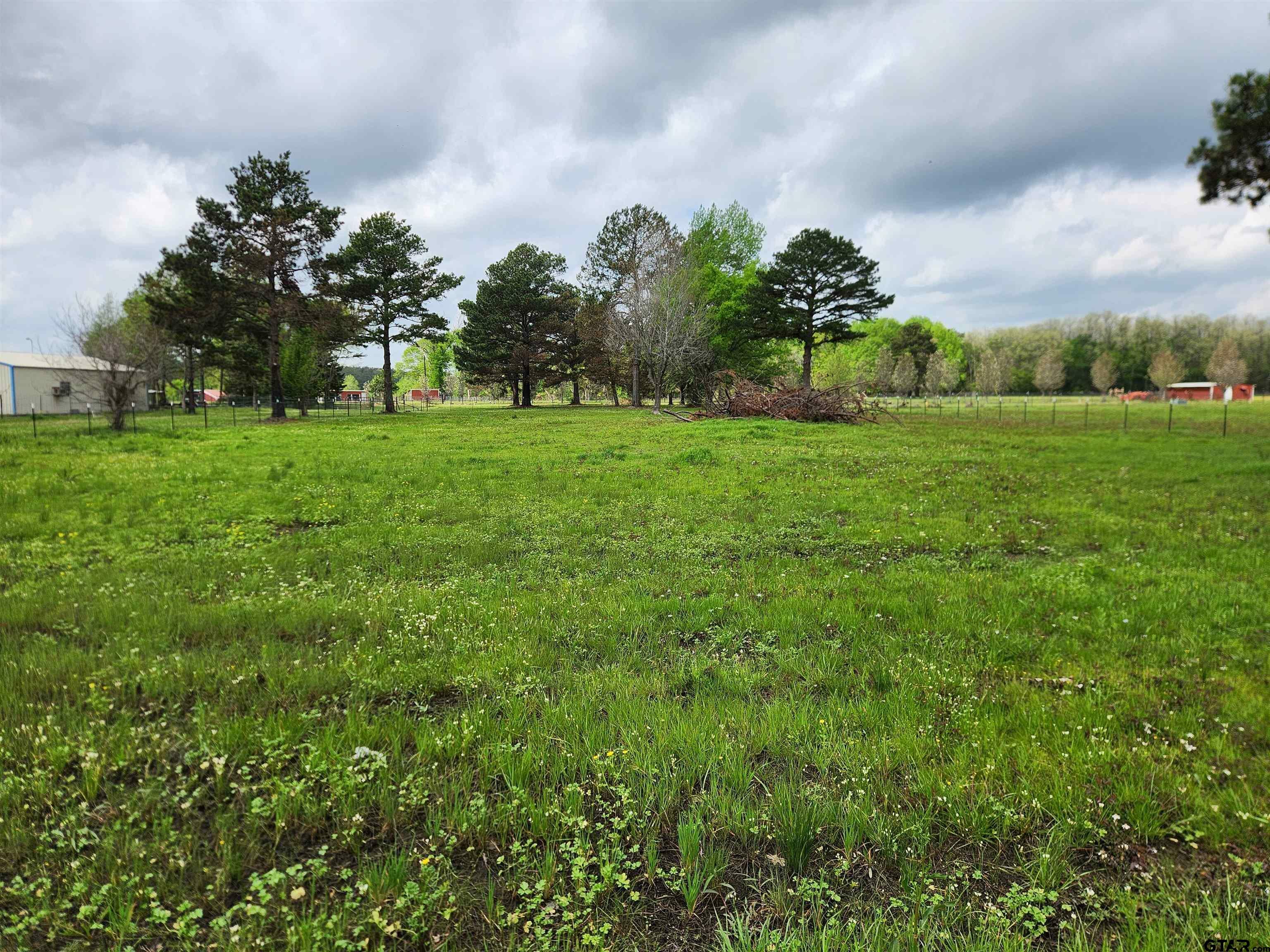 Property Photo:  Tbd County Road 4202  TX 75758 