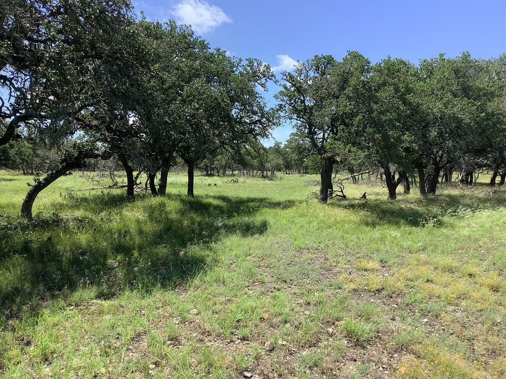 Property Photo:  477 Burrus Ranch Rd  TX 78058 