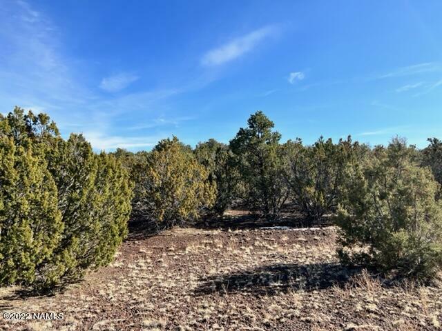 Property Photo:  000 502-31-130A 12 Acres - Mohave Road  AZ 86046 