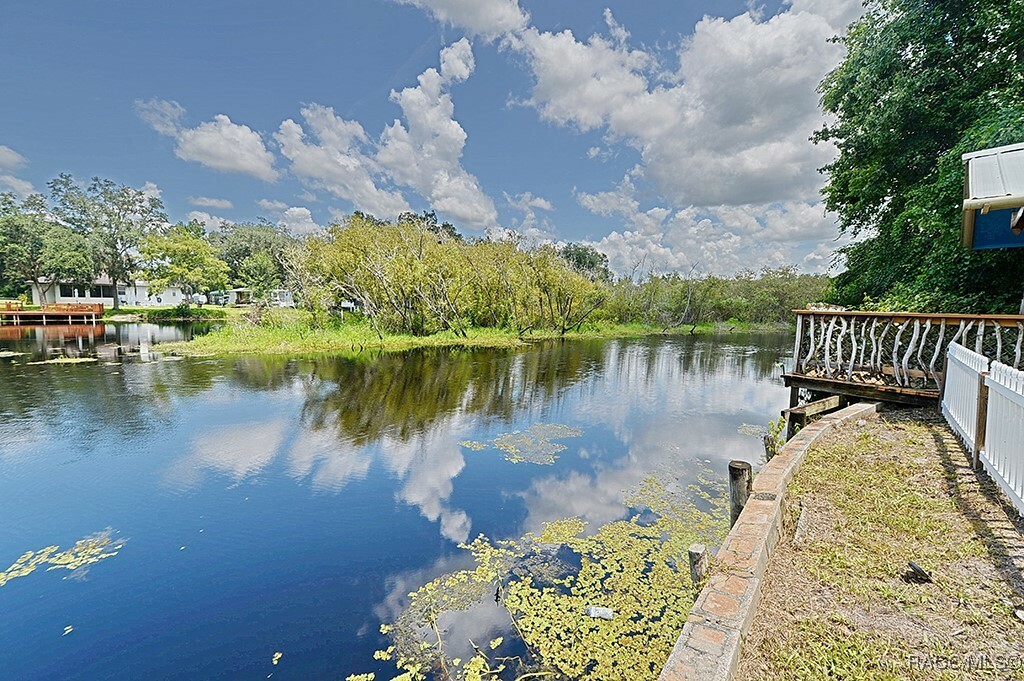 Property Photo:  11321 E Salmon Drive  FL 34436 