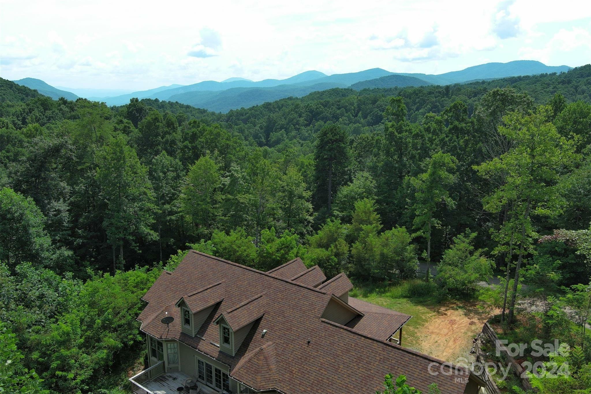 Property Photo:  134 Lake George Road  NC 28762 