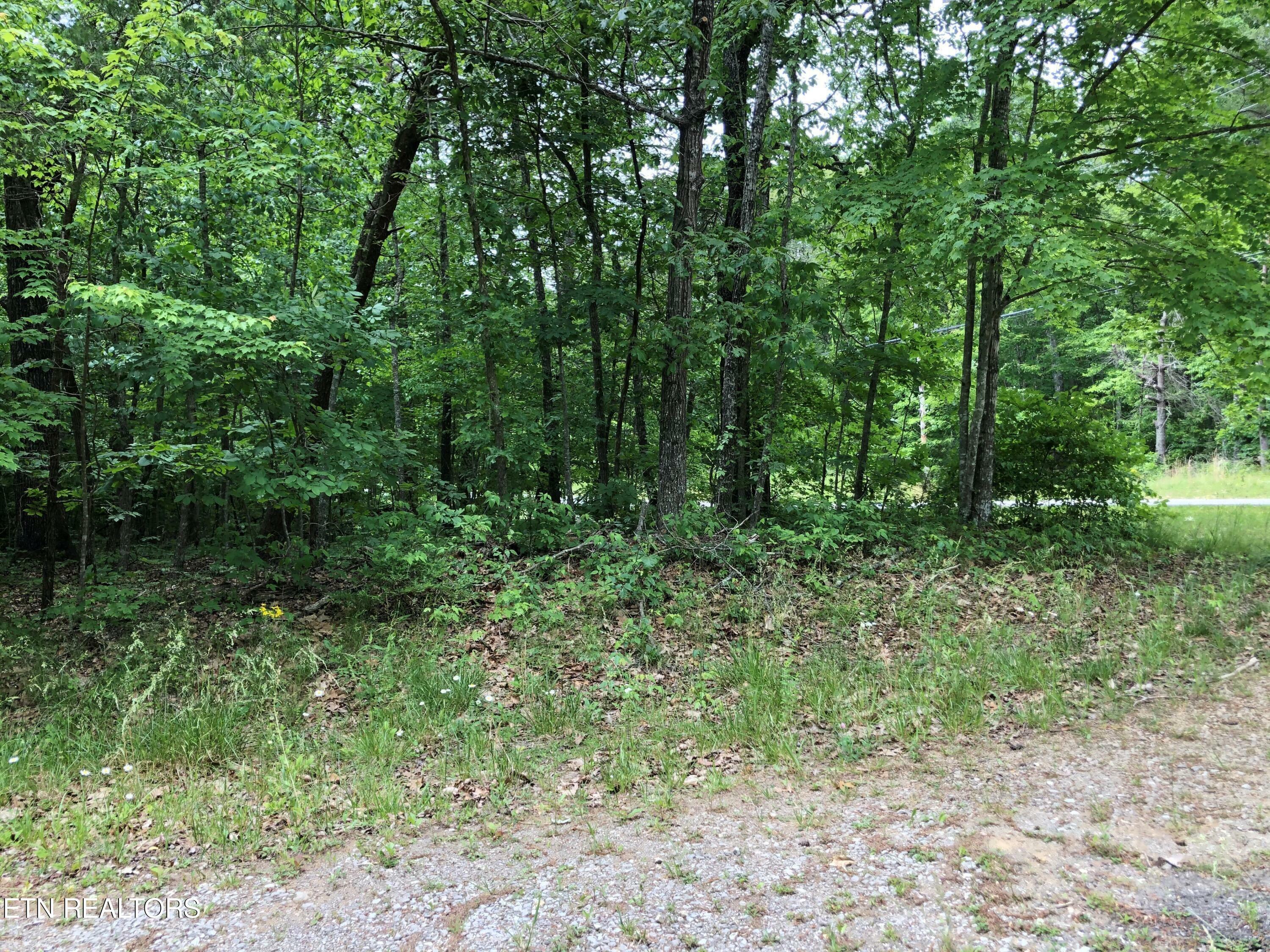 Property Photo:  333 Westchester Dr  TN 38558 