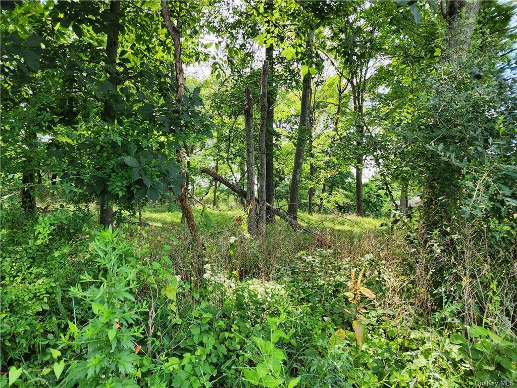 Property Photo: Kentview Drive NY 10512