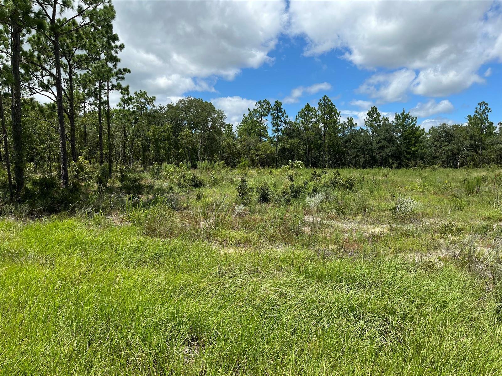 Property Photo:  Tbd SW 88th Street  FL 34432 