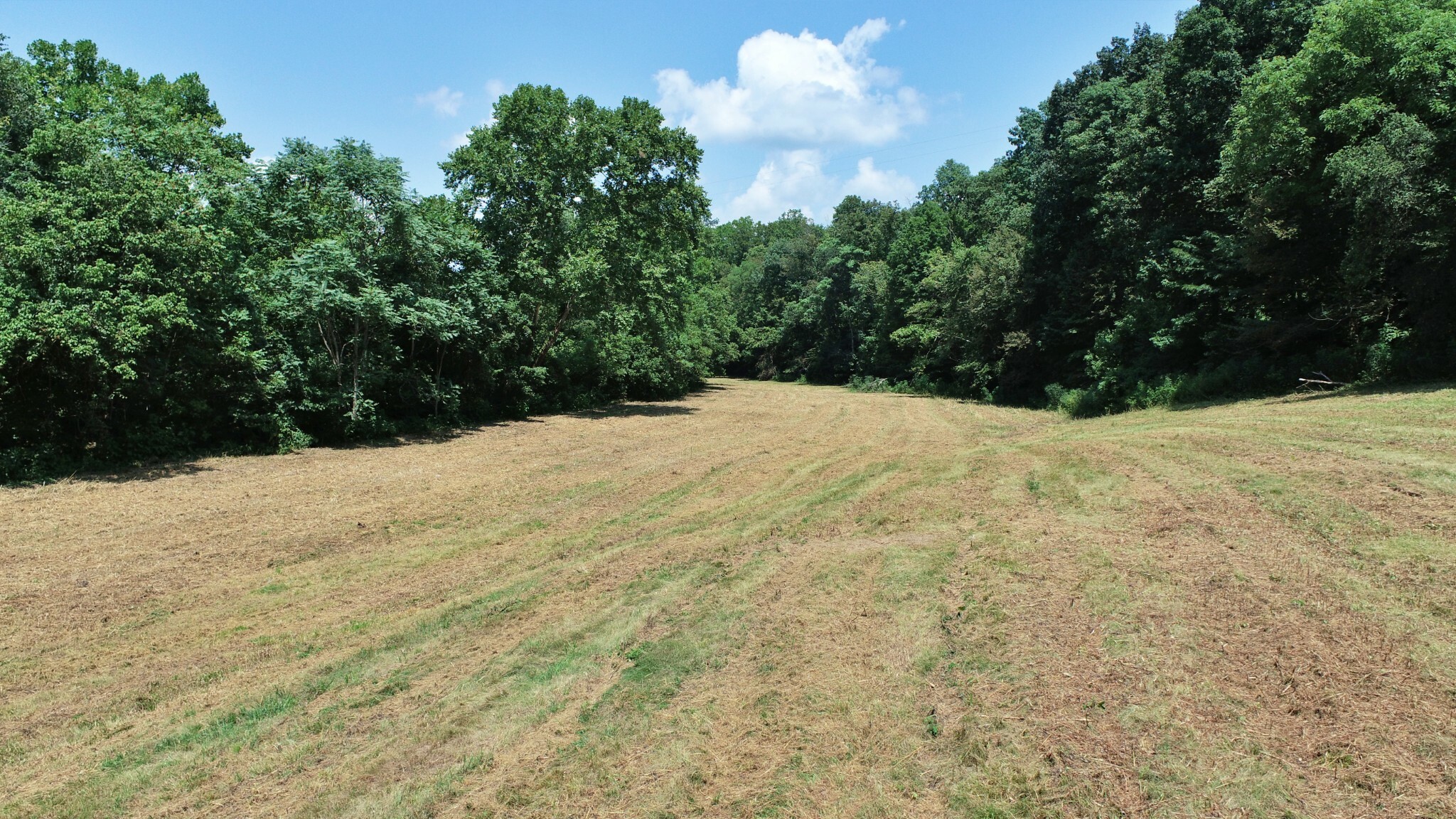 Property Photo:  0 Wixtown Rd  TN 37186 