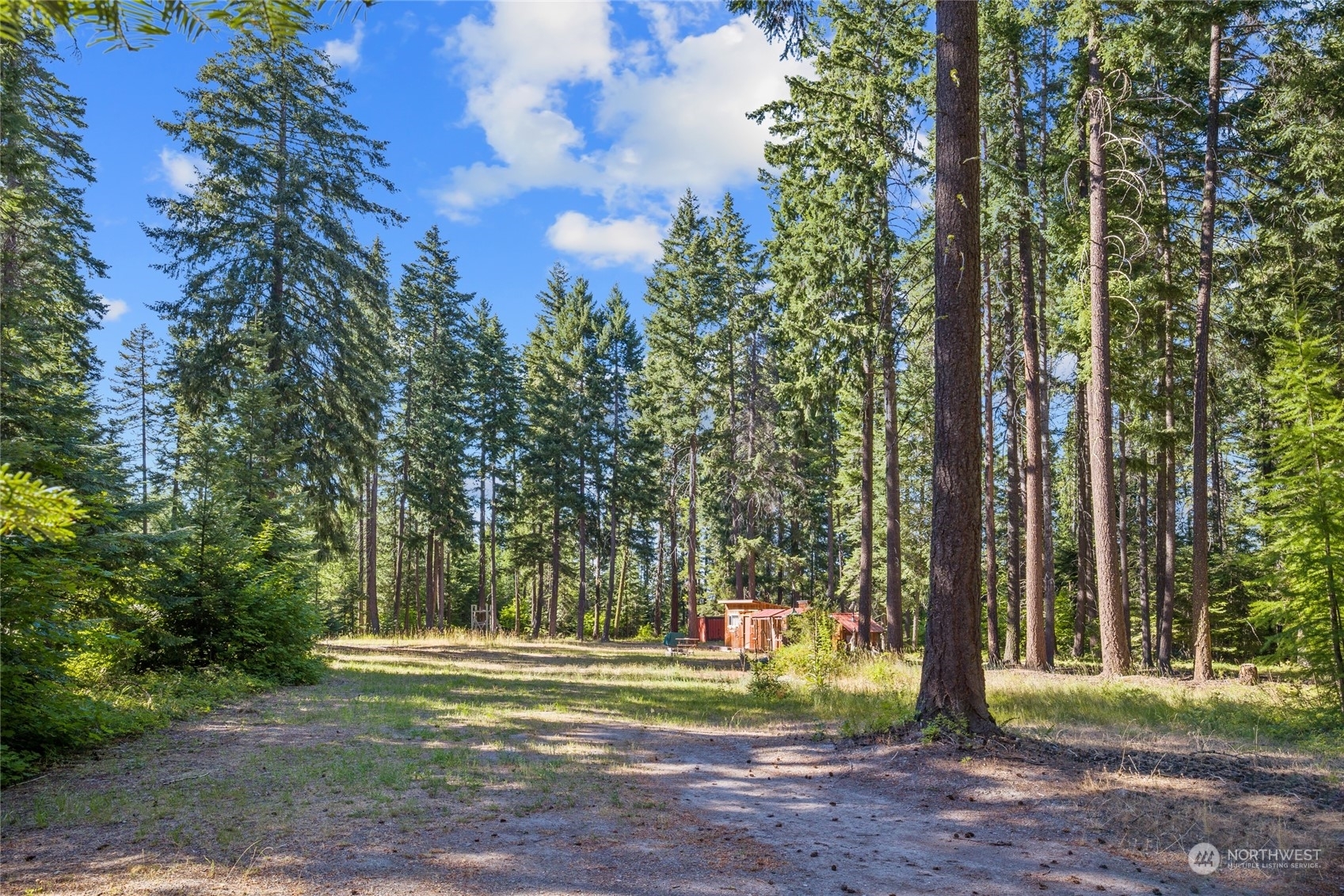 Property Photo:  730 Tall Pines Drive  WA 98922 