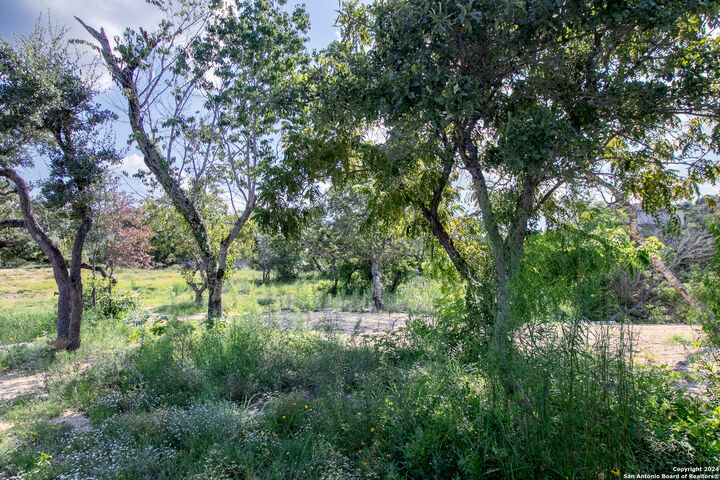 Property Photo: Lot 6 Messina Cyn TX 78255