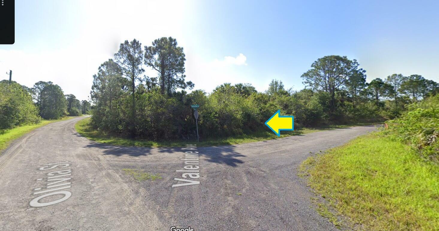 Property Photo:  2501 Corner Lot On Valentine Avenue SW  FL 32908 