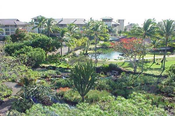 Property Photo:  2253 Poipu Rd 315  HI 96756 