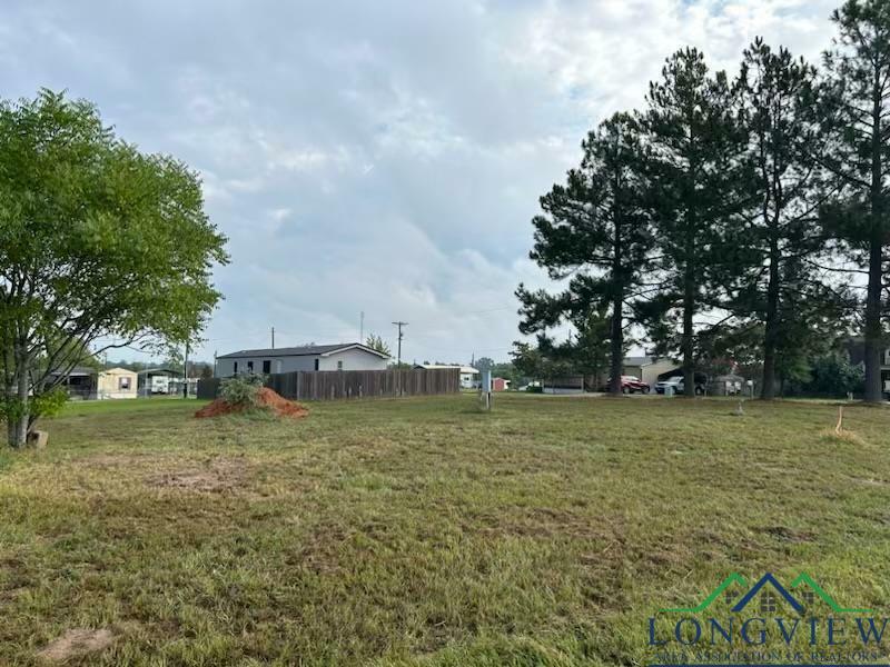 Property Photo:  241 Seminole  TX 75783 