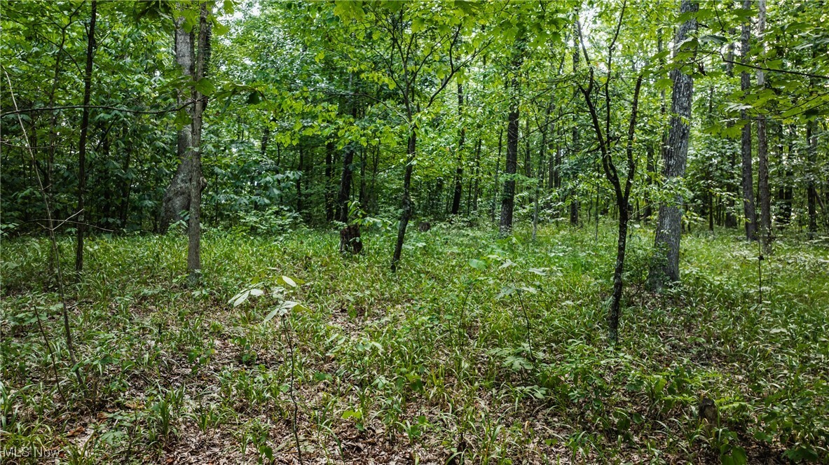 Property Photo:  1187 Umstead Ridge Road  WV 26141 