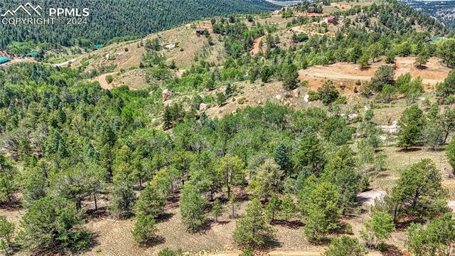 Property Photo: 24 Wild Horse Circle CO 80813