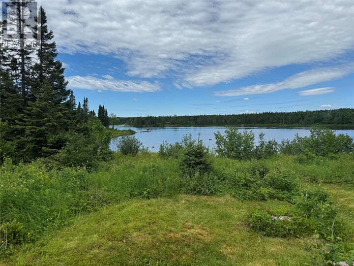 Property Photo:  0 Fourth Pond, Gander River Landing  NL A0G 2K0 