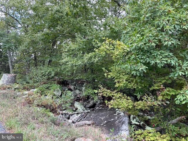Property Photo: Lot 76 Bear Trail VA 22602