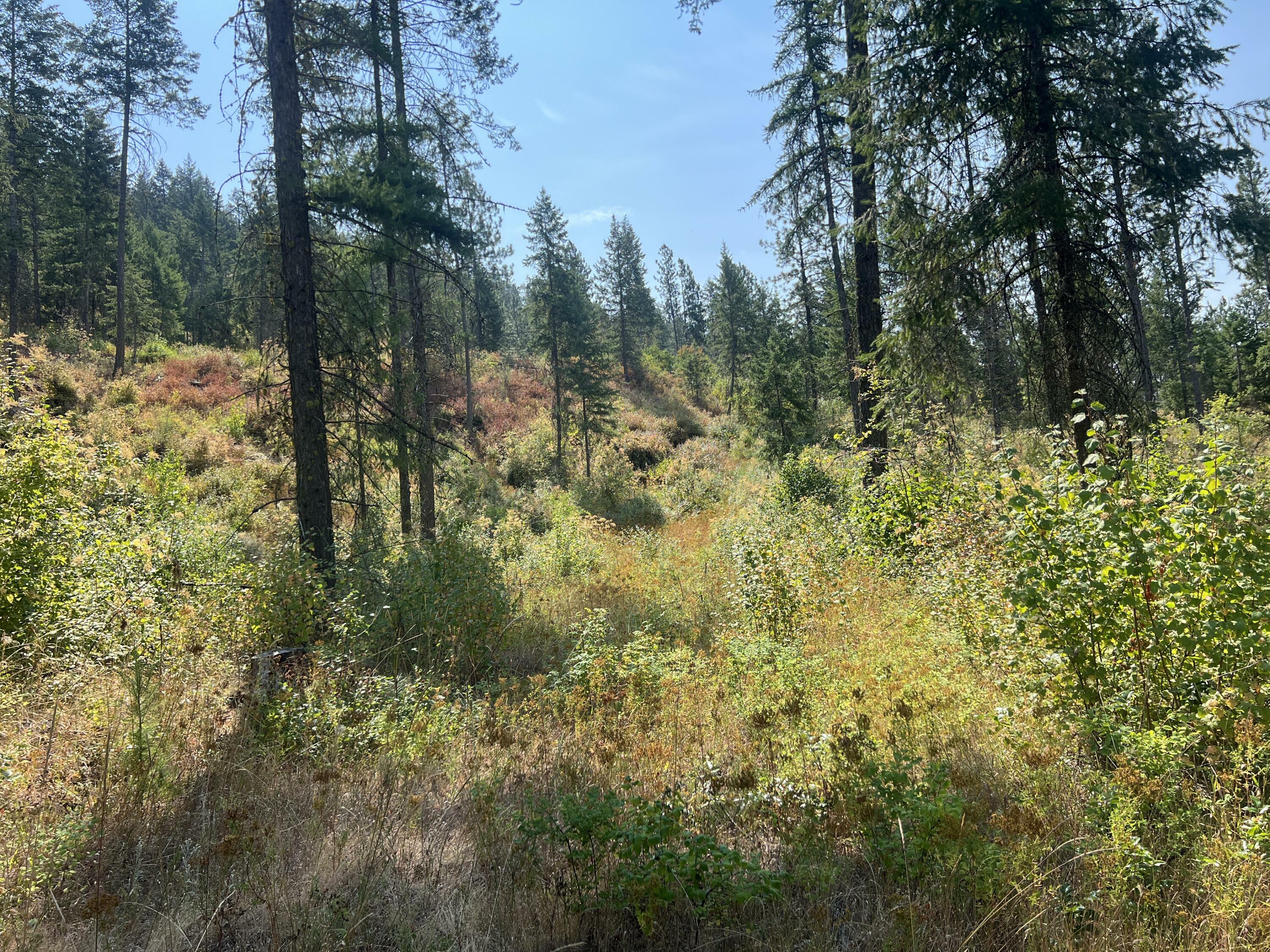 Property Photo:  Tbd Highland Loop Rd  WA 99114 