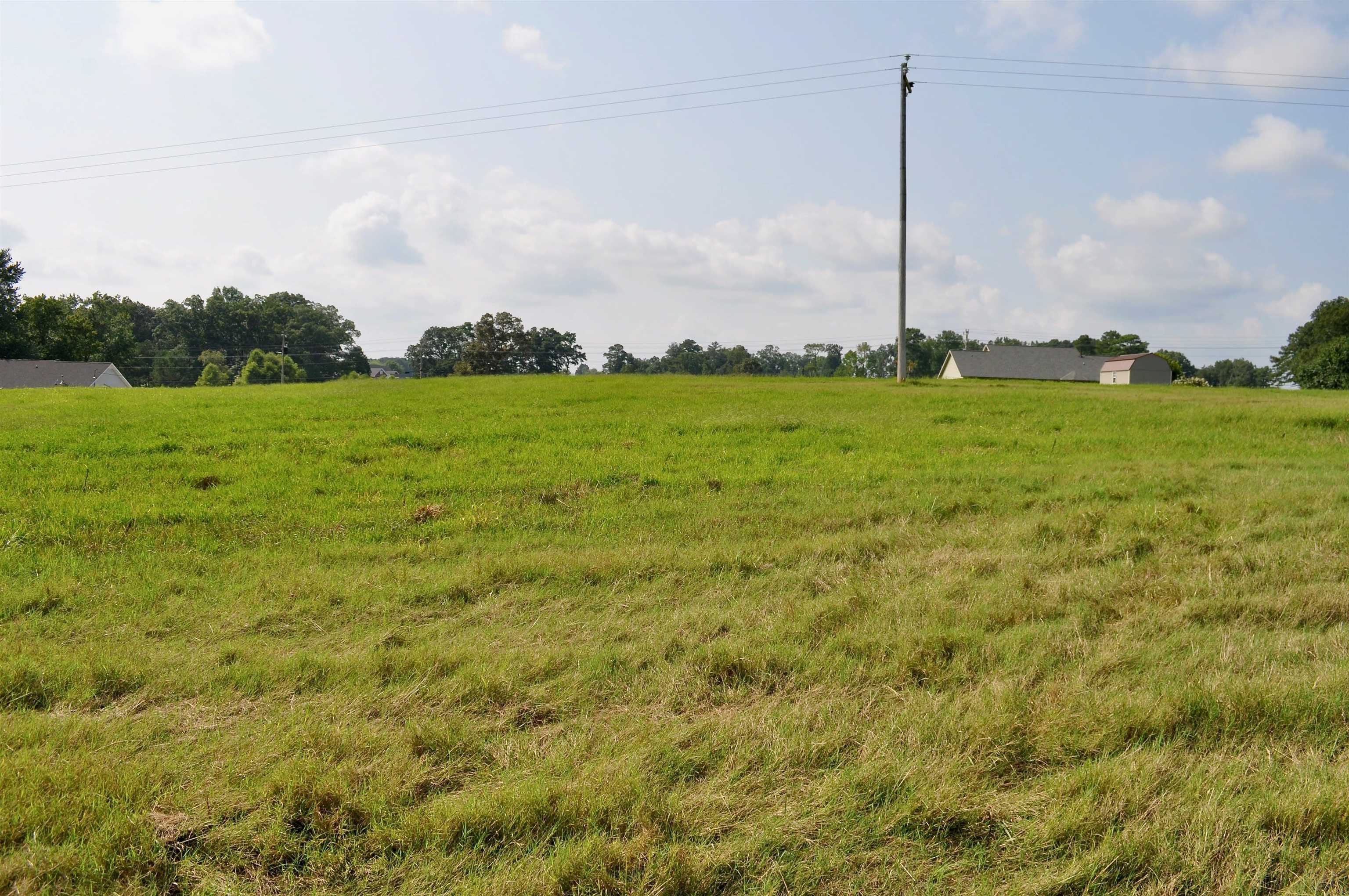 Property Photo:  Lot 4 Tiffani Dr  AL 35058 - CULLMAN 