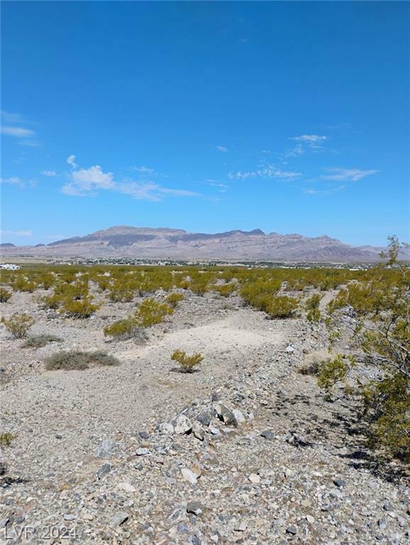 Property Photo:  1991 Gorgono Drive  NV 89060 