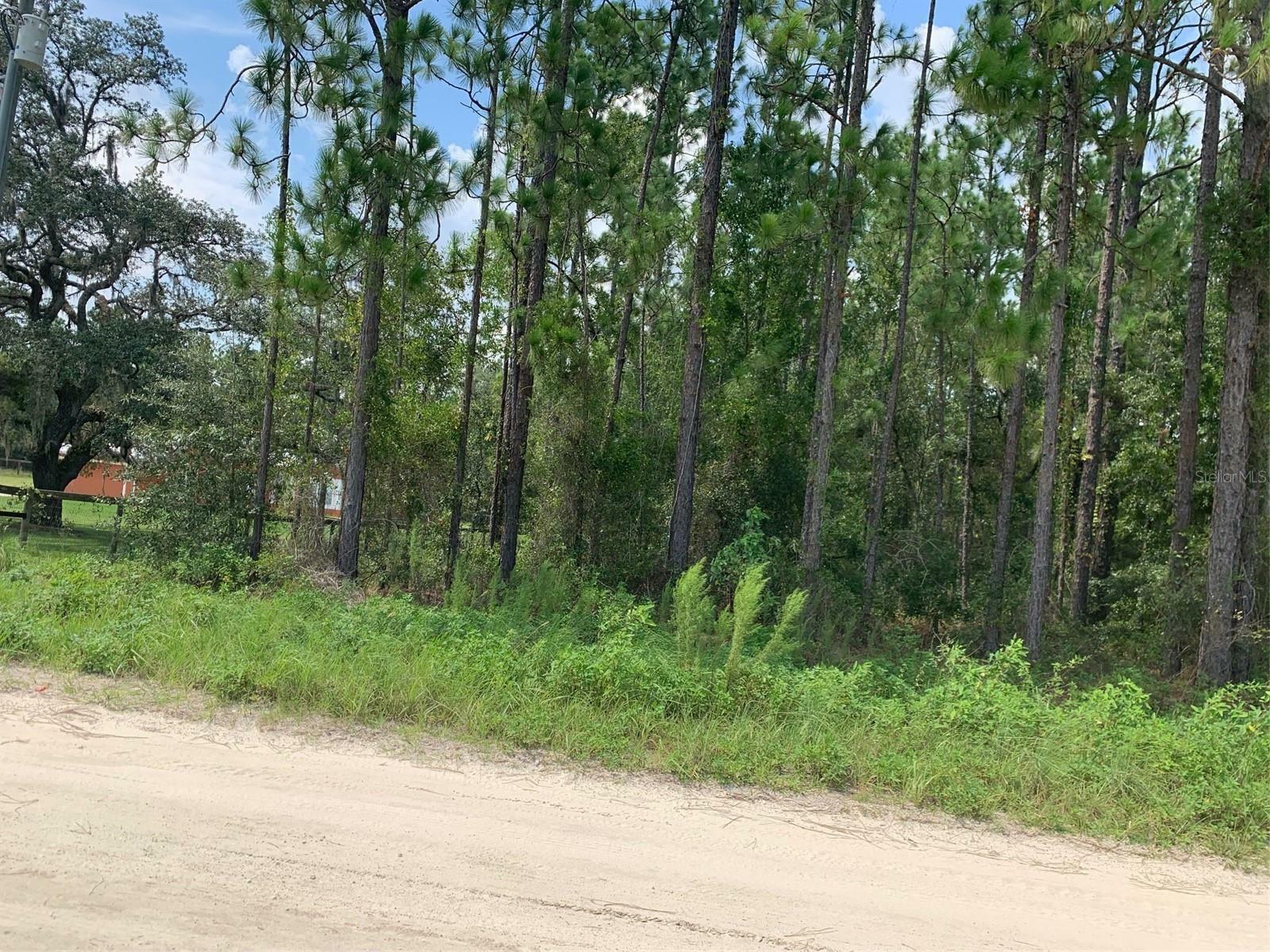 Property Photo:  0 SW 64th Street Rd  FL 34481 