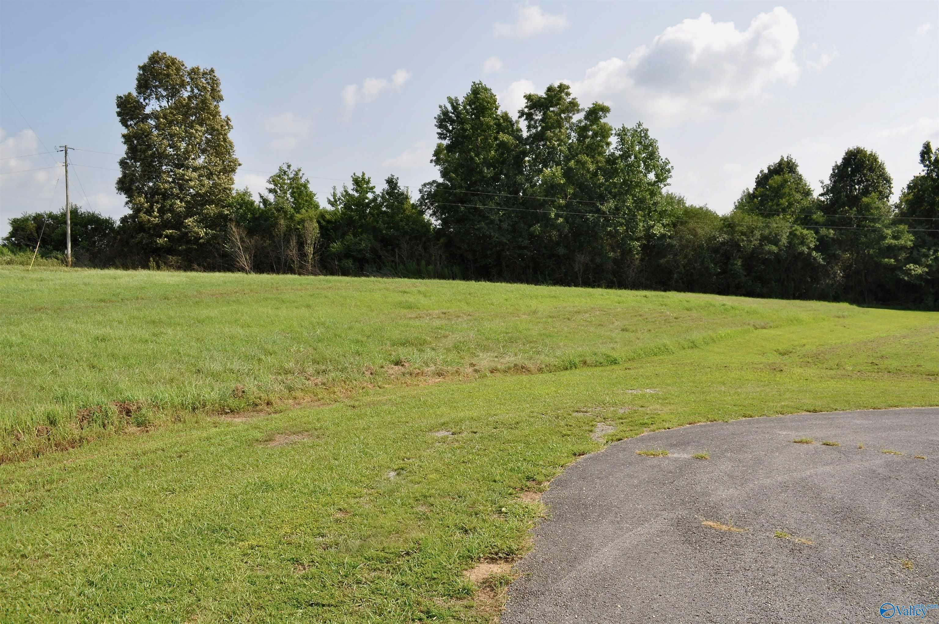 Property Photo:  Lot 13 Tiffany Drive  AL 35058 