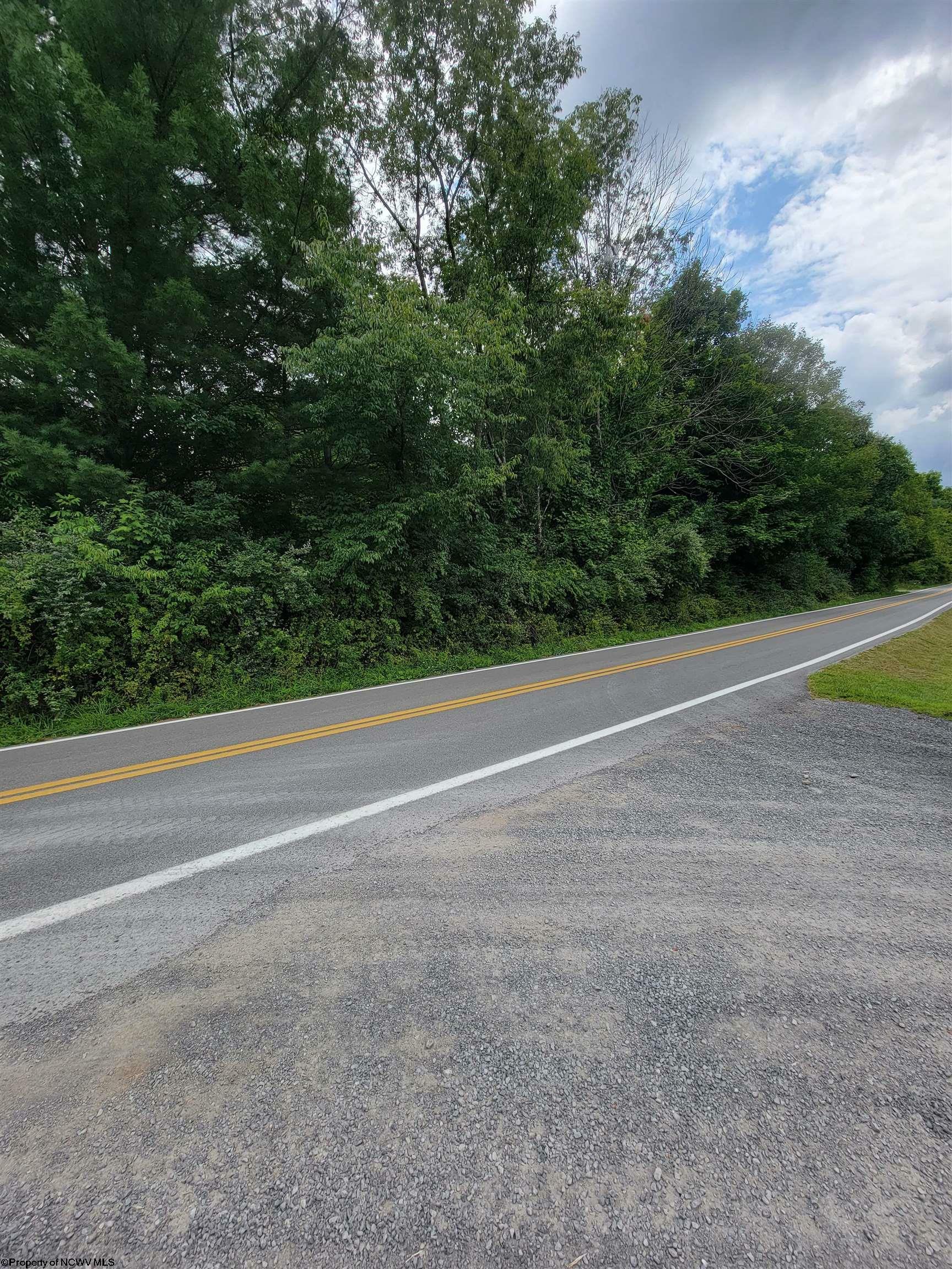 Property Photo:  0 Kings Run Road  WV 26253 